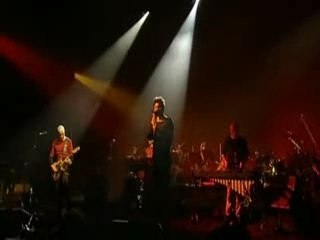 Noir Désir - Bouquet de nerfs