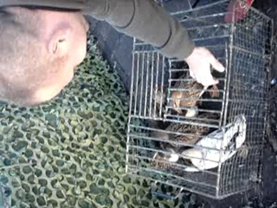 Chasse 019