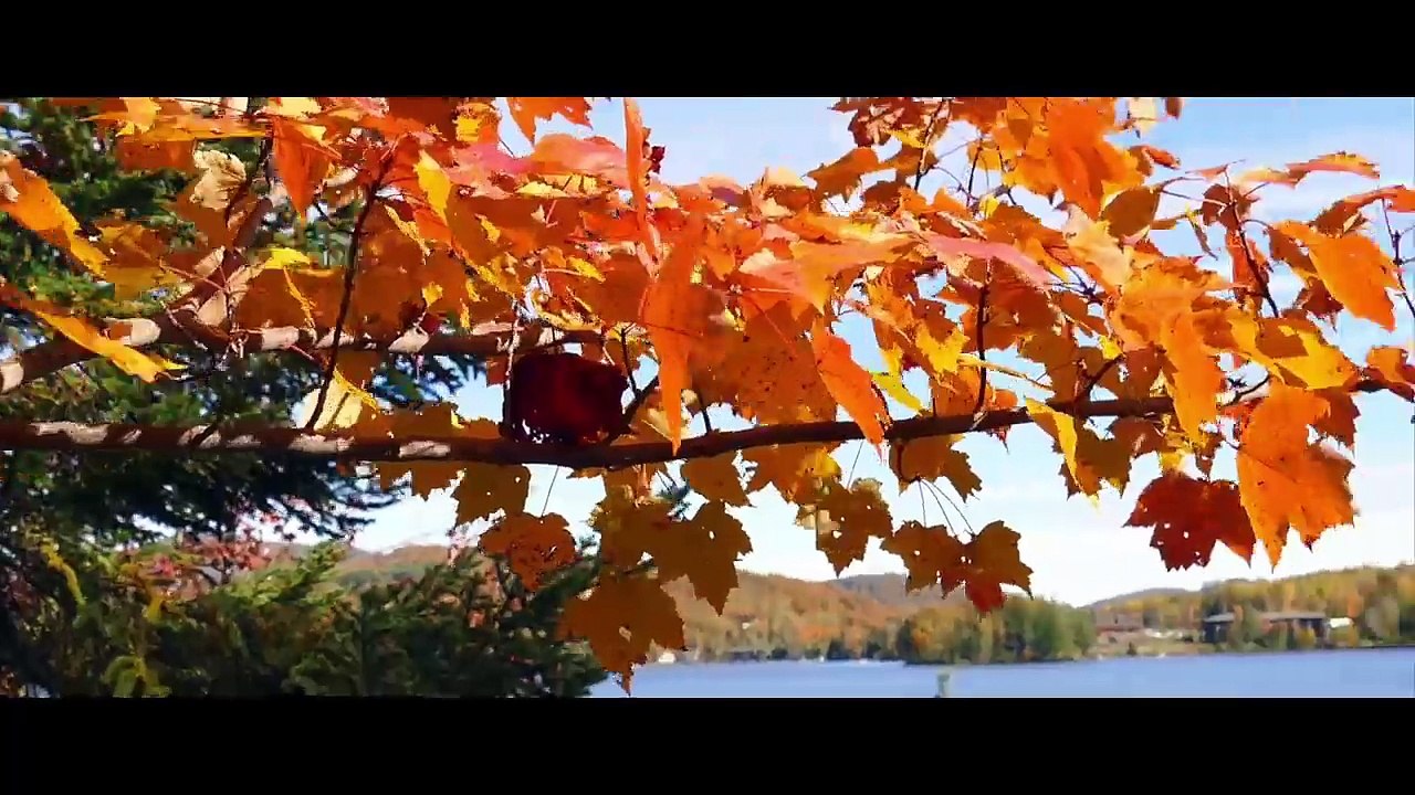 Montreal und Umgebung - Landschaftsaufnahmen