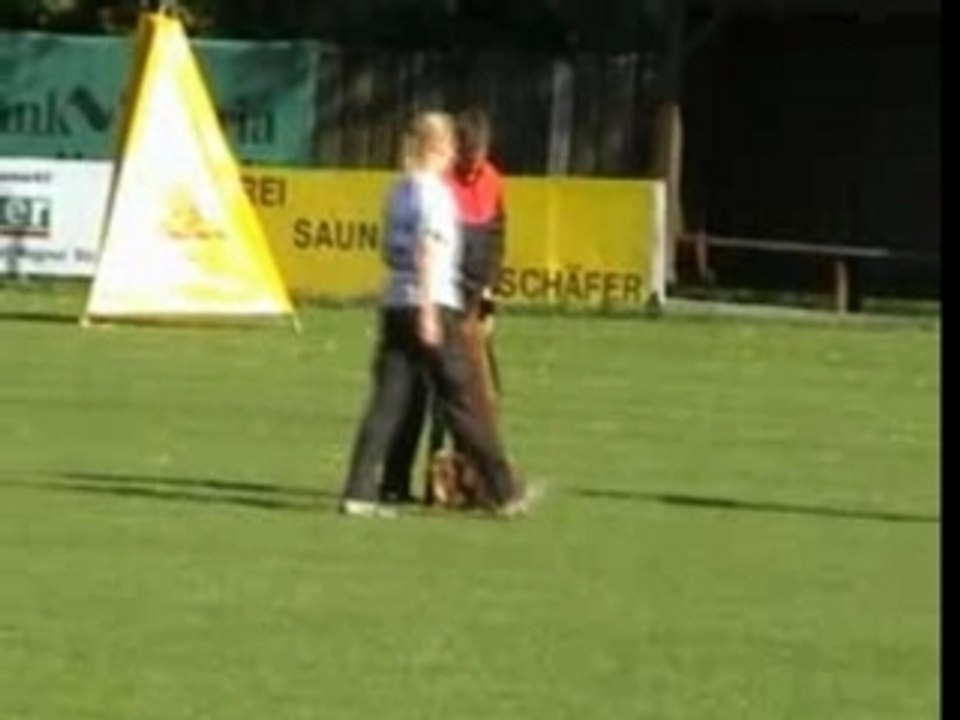 BSTM 2007-Vesuv von Bonum Bono-Schutz