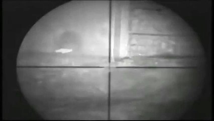 Huzur Veren Havalı Tüfekle Fare Avı