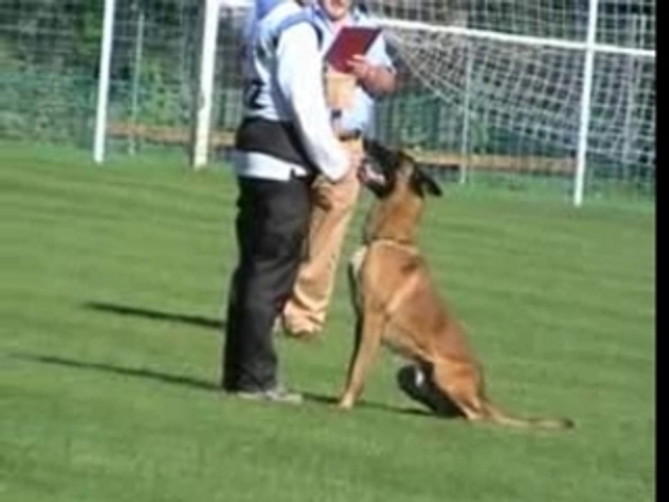 BSTM 2007-Vesuv von Bonum Bono-UO