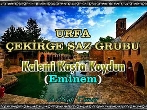 URFA ÇEKİRGE SAZ GRUBU - Kalemi Kaşta Koydun (Eminem)