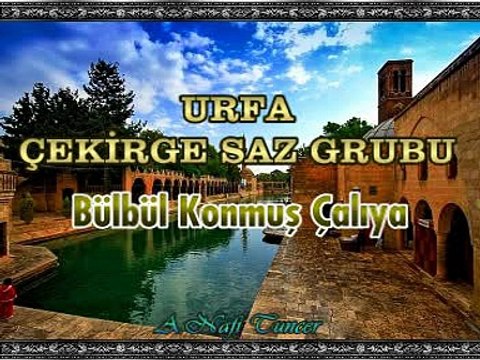 URFA ÇEKİRGE SAZ GRUBU - Bülbül Konmuş Çalıya