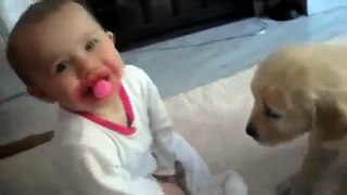 Labrador Puppy Meets Baby For The Very First Time