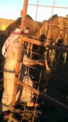 Can someone please explain the benefits... - Silence is Consent