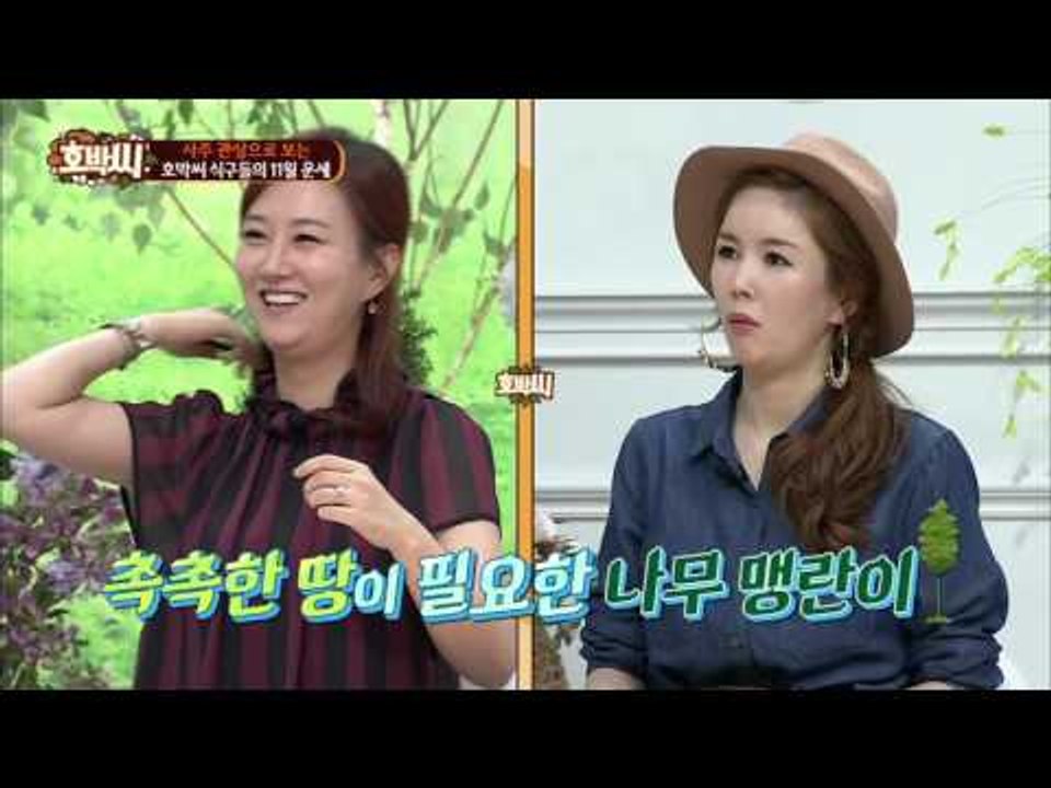 호박씨 가족들의 궁합은? [호박씨] 23회 20151103