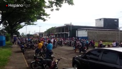 Ganaderos reparten leche y carne en Coloncito