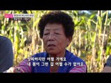 눈물을 보이는 벤! [엄마의 봄날] 17회 20151102