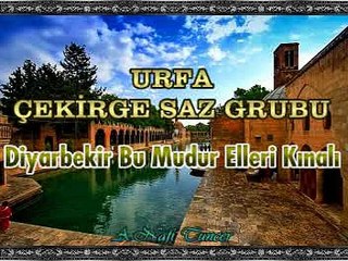 URFA ÇEKİRGE SAZ GRUBU - Diyarbekir Bu Mudur Elleri Kınalı