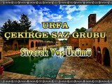 URFA ÇEKİRGE SAZ GRUBU - Siverek Yaş Üzümü