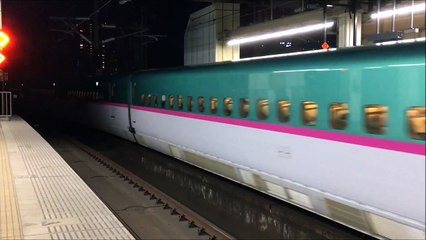 【今でも残るR編成】E3系R21編成＋E5系U26編成 東北新幹線やまびこ215号仙台行 大宮駅