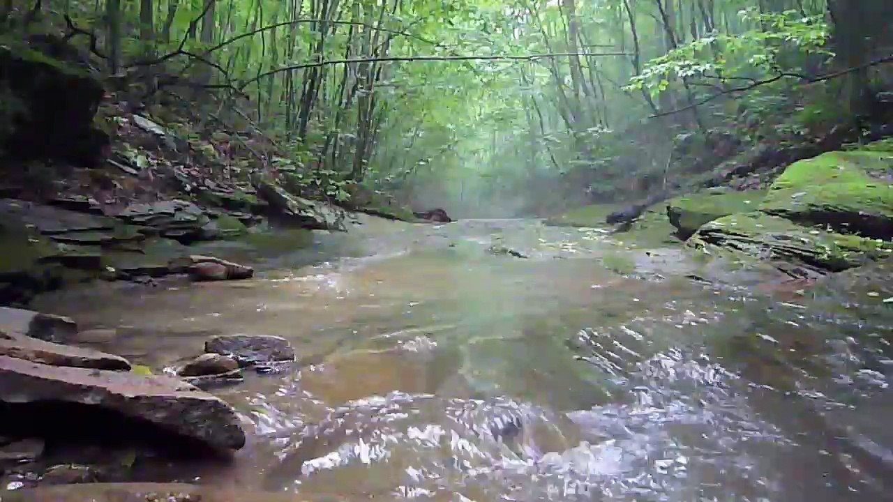 Creek Lapse