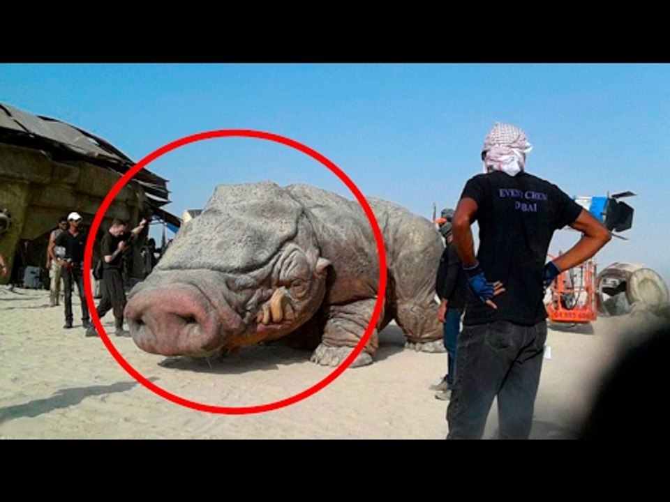 5 Bizarre Recently Discovered Creatures That Will Blow Your Mind!