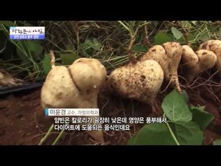 슈퍼 푸드! 얌빈 [광화문의 아침] 98회 20151027
