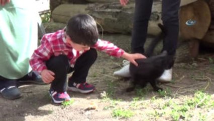 Mert Efe'nin Kedi Sevgisi Kaybolmasına Neden Oldu