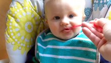 The Panting Baby Michael from Family Fun Pack SO CUT