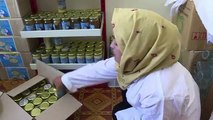 Queen bees_ how honey co-ops help Afghan 123qwe