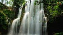 Costa Rica Pur - die erfolgreichste Costa Rica Reise von travel-to-nature-VvyXCD6bUlI