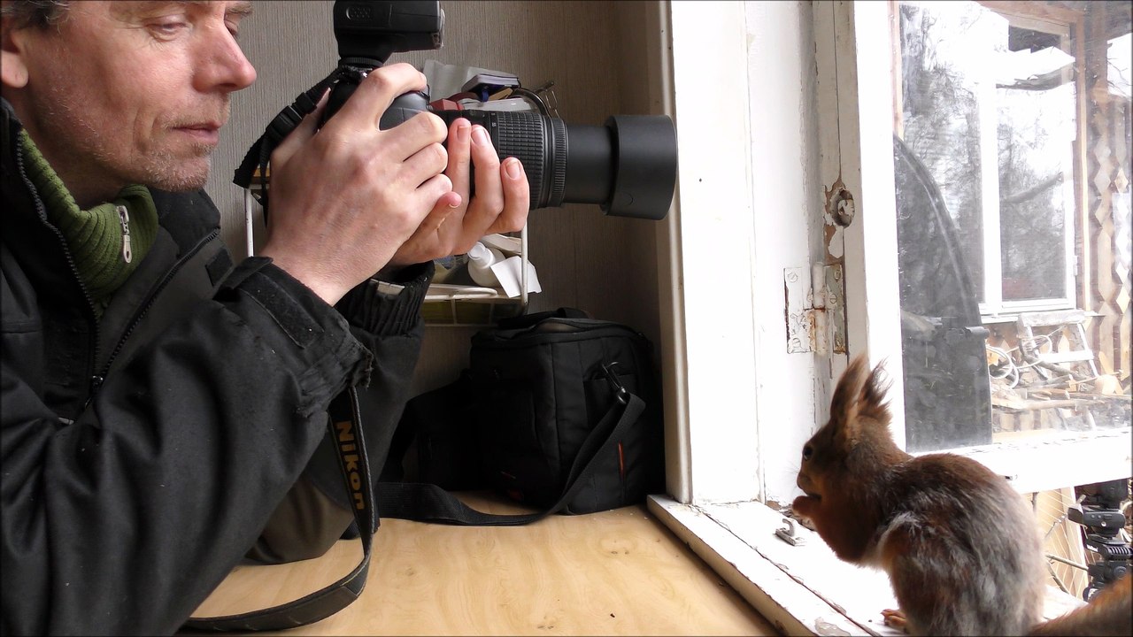 squirrel and photographer