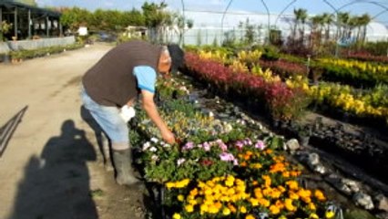 Şeker Hastalığını Bitki Yetiştirerek Yendi