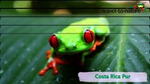 Costa Rica Pur mit travel-to-nature-FZHbgkf2
