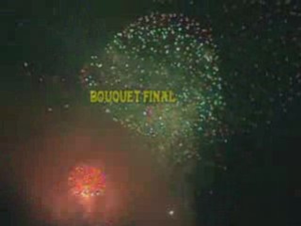 feu d'artifice du 14 juillet 2007 La Seyne sur mer