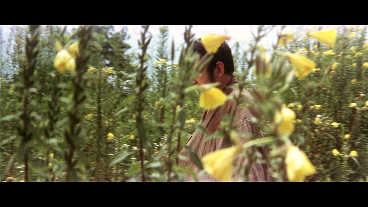 Zatoichi 18 killcount