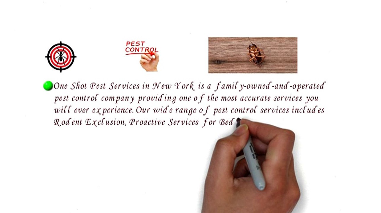 One Shot Pest Services Video