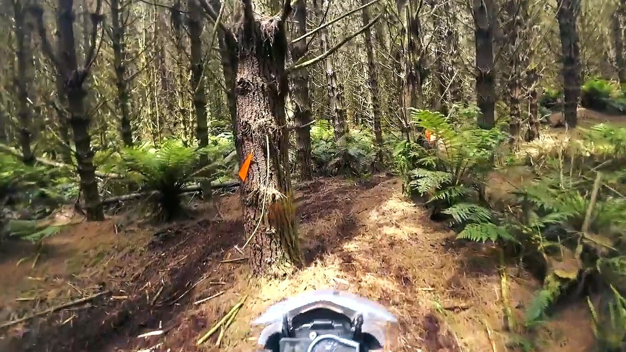 USA vs Aussie adventure riding KTM Rallye New Zealand 2016