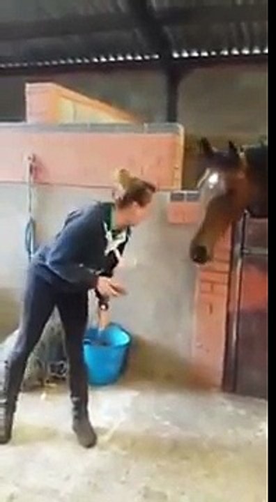 Elle commence à danser sur « All About That Bass », mais regardez ce que le cheval fait... J’en pleure de rire !