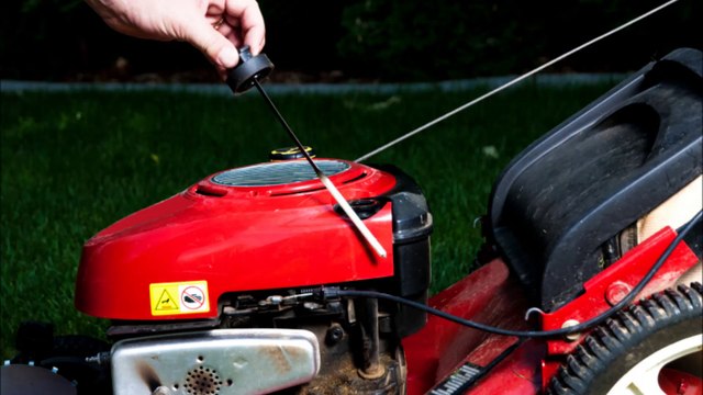 Dream Machine Auto Hobbie (979) 232-2150