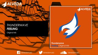 Thunderwave - Feeling (Original Mix)