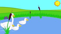 Childrene Little Ducks - Kid's Nursery Rhymes, Music & Songs