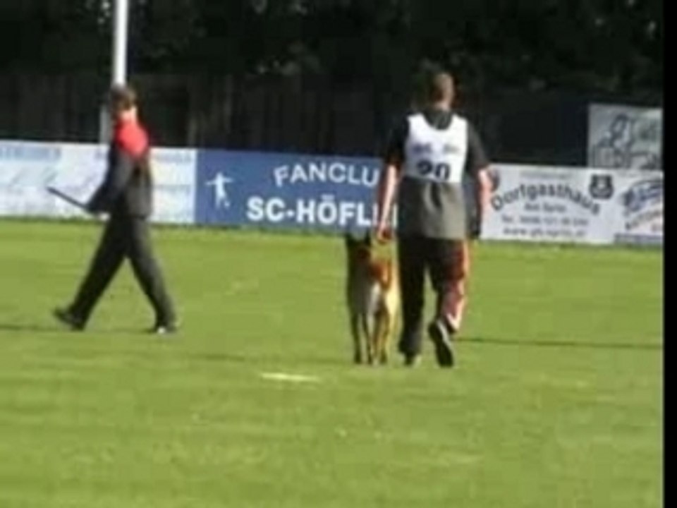 BSTM 2007-Flint vom Löwenfels-Schutz