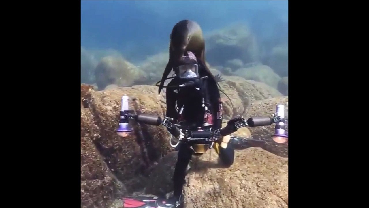 Ce plongeur s'est fait une nouvelle amie... otarie adorable