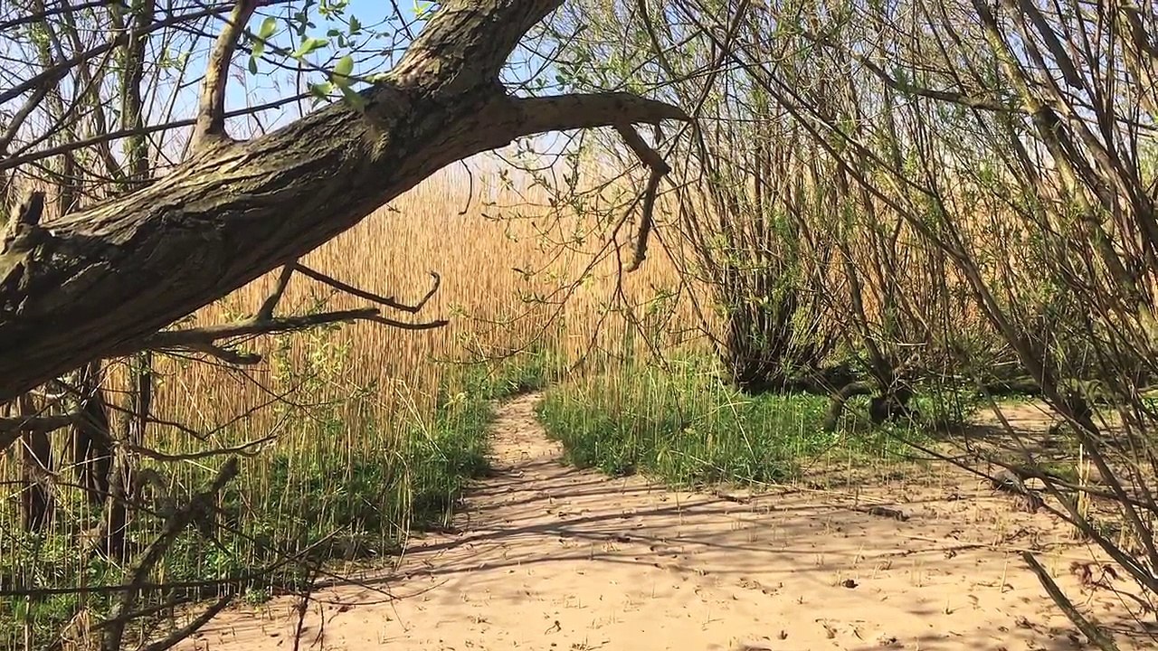 Spirit Sound - An der Elbe 2017  Folge 05 /Full Film/Complete Movie/Ganzer Film