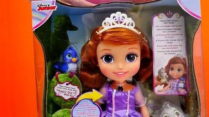 #Çizgifilmoyuncakları.Elis Prenses Sofia ailesi ile tanışıyor.#kuklaoyunu
