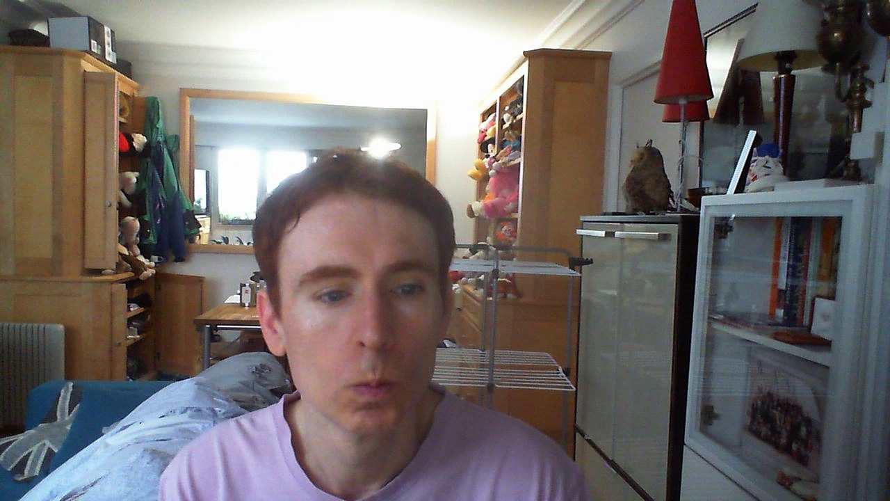 Wiwi égratigne "les hirondelles" des Cowboys Fringants