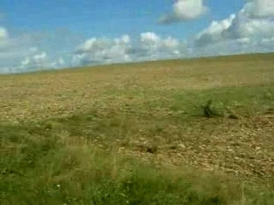 Trot en campagne ^^