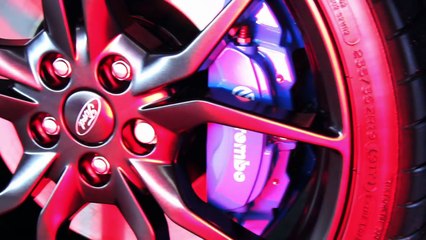 Ford Focus RS New Car Ceramic Paint Protection Detail