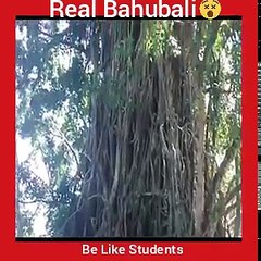 The True Story of Bahubali