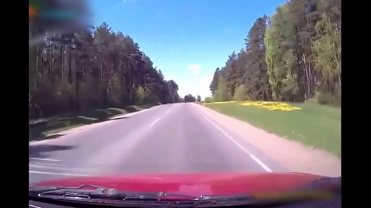 Top 10 Animal Car Crashes   Top 10 Car Animal Crashes   Crashes with animals and cars accident with