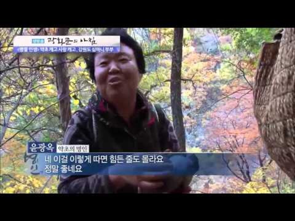 명물 인생 약초 캐고 사랑 캐고, 강원도 심마니 부부 [광화문의 아침] 89회 201...