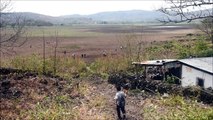 Guatemala : un lac asséché victime du changement climatique