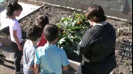 Furiani : Quand les élèves cultivent leur jardin…