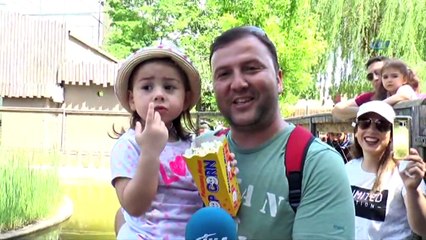 Dev Timsahları Elleri İle Beslediler