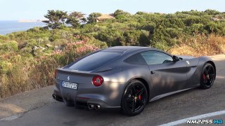 Ferrari F12 Berlinetta in Action - Rev, Accelerations and Fly Bys!