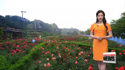 Temperature on the rise, get ready for summer conditions