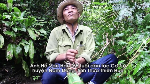 VnExpress | Đời sống | Người Cơ Tu trèo cây hun khói ong mật